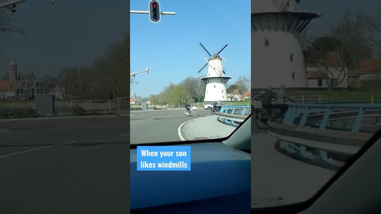 WINDMILLS |Cutey Andrea 