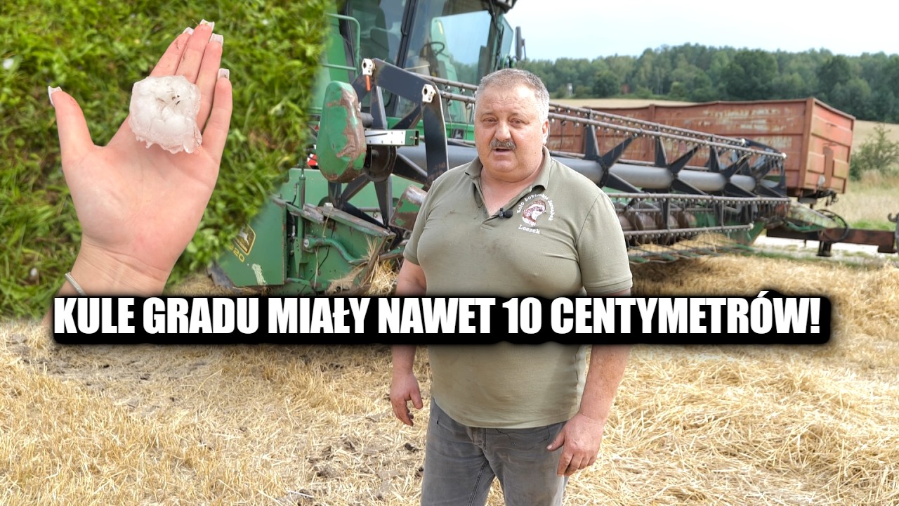 Takiego gradobicia nie widzieli tu nawet najstarsi ludzie! Ogromne kule gradu zniszczyły plony