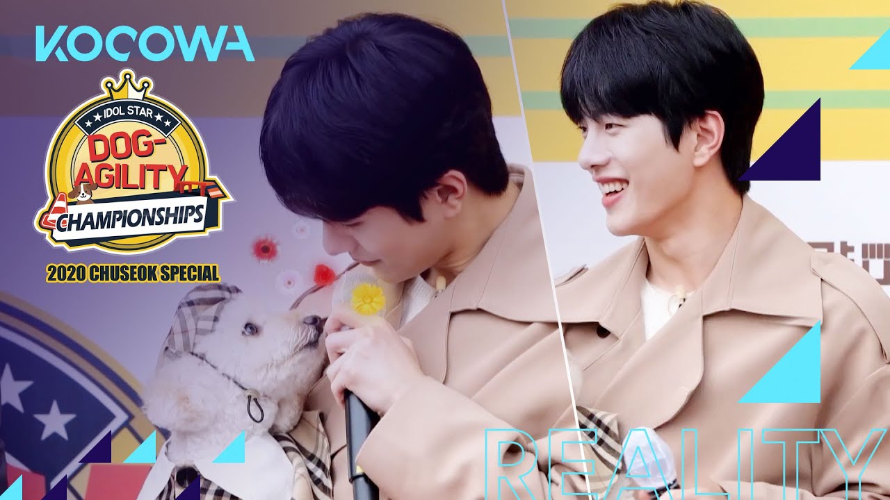 Bo Min & Joy make eye contact [2020 Idol Star Dog Agility Championships]