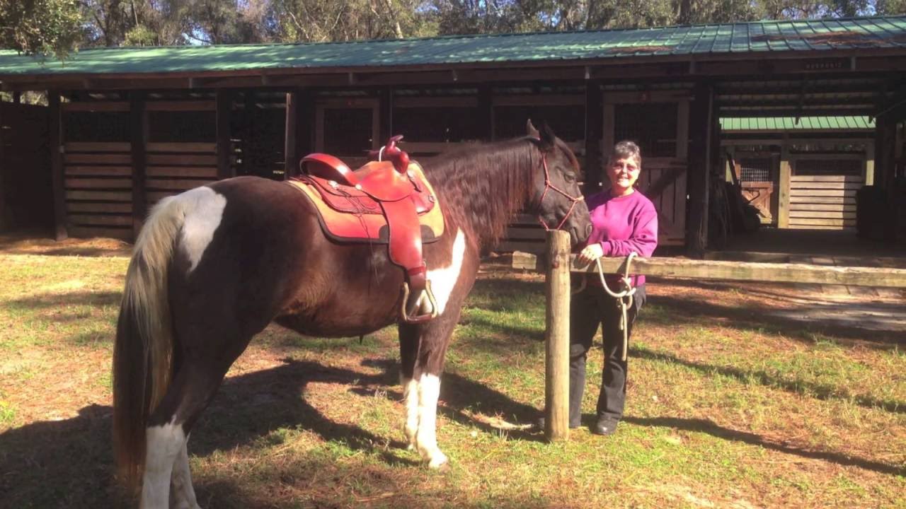 Best Horse Camping and Trails in Florida - Tillis Hills Florida