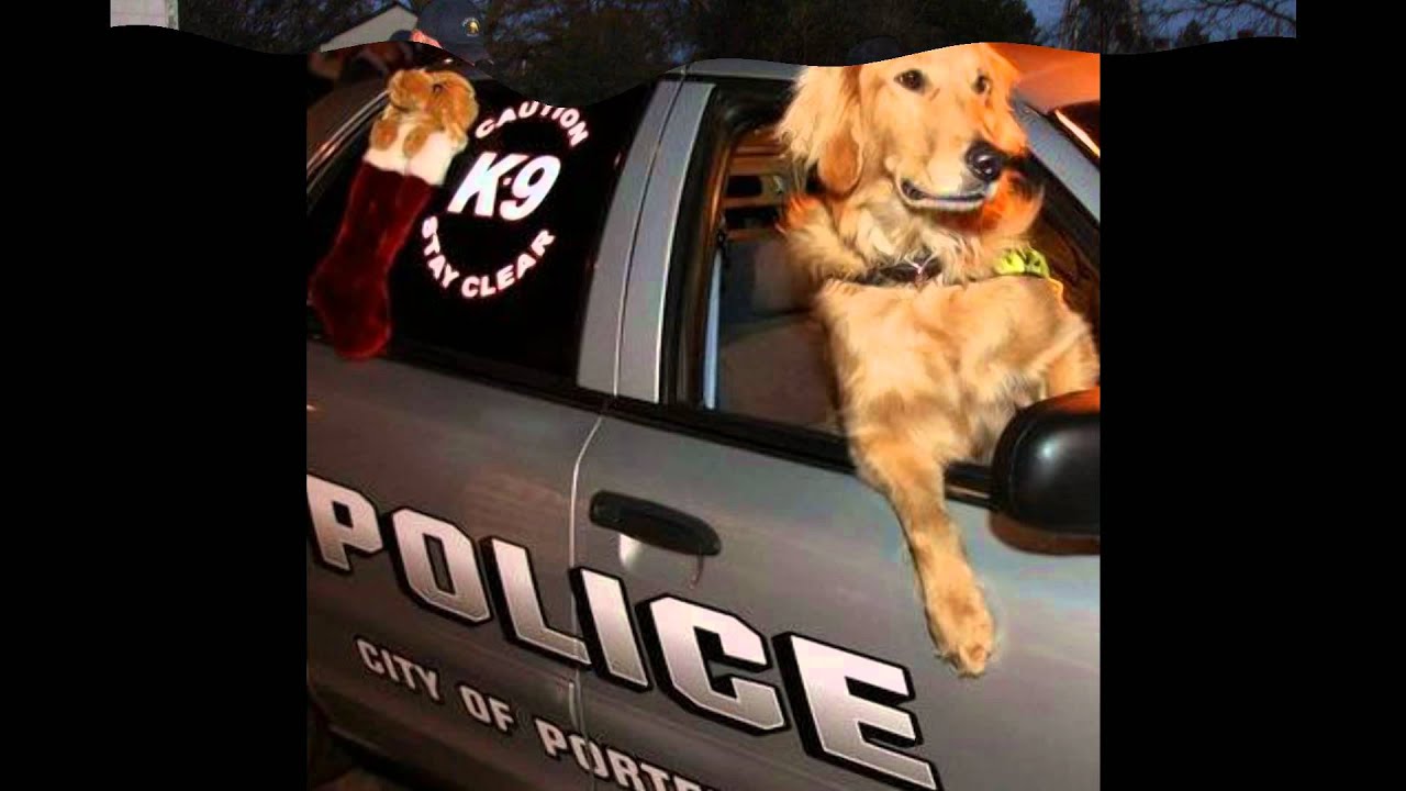 Police K9 Tribute for We Ride To Provide
