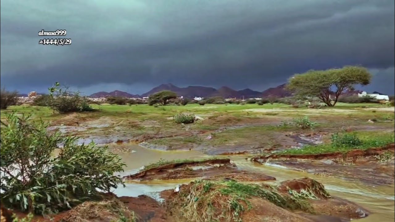 أمطارغزيرة و رياح قويه و سيول و ربيع  في محافظة الجموم في مكة المكرمة 1444/5/29هـ🌊⛈️😱