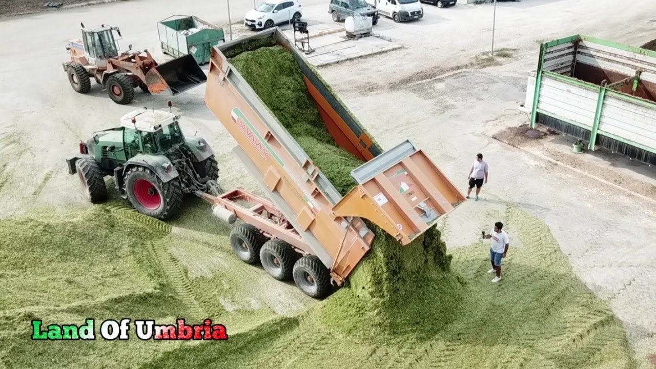 Trinciato di Mais - Fendt, Claas, Jcb - Corn Silage