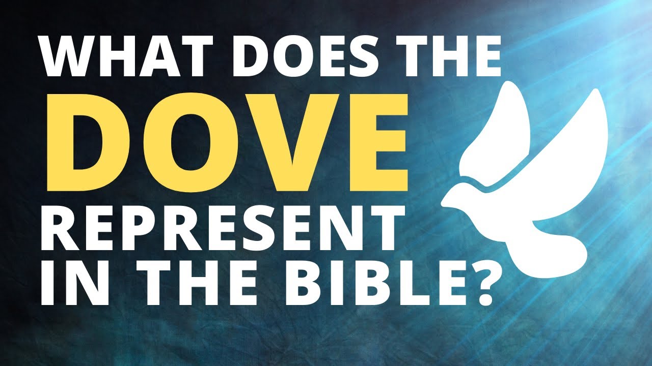 What does the dove represent in the Bible? | Spiritual meaning of the dove | Short Bible Study