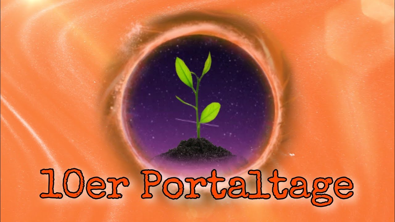 10 Portaltage im Oktober /Zeitqualität im gelben Samen 🌾 die Lebensfreude wird gesteigert ⬆️