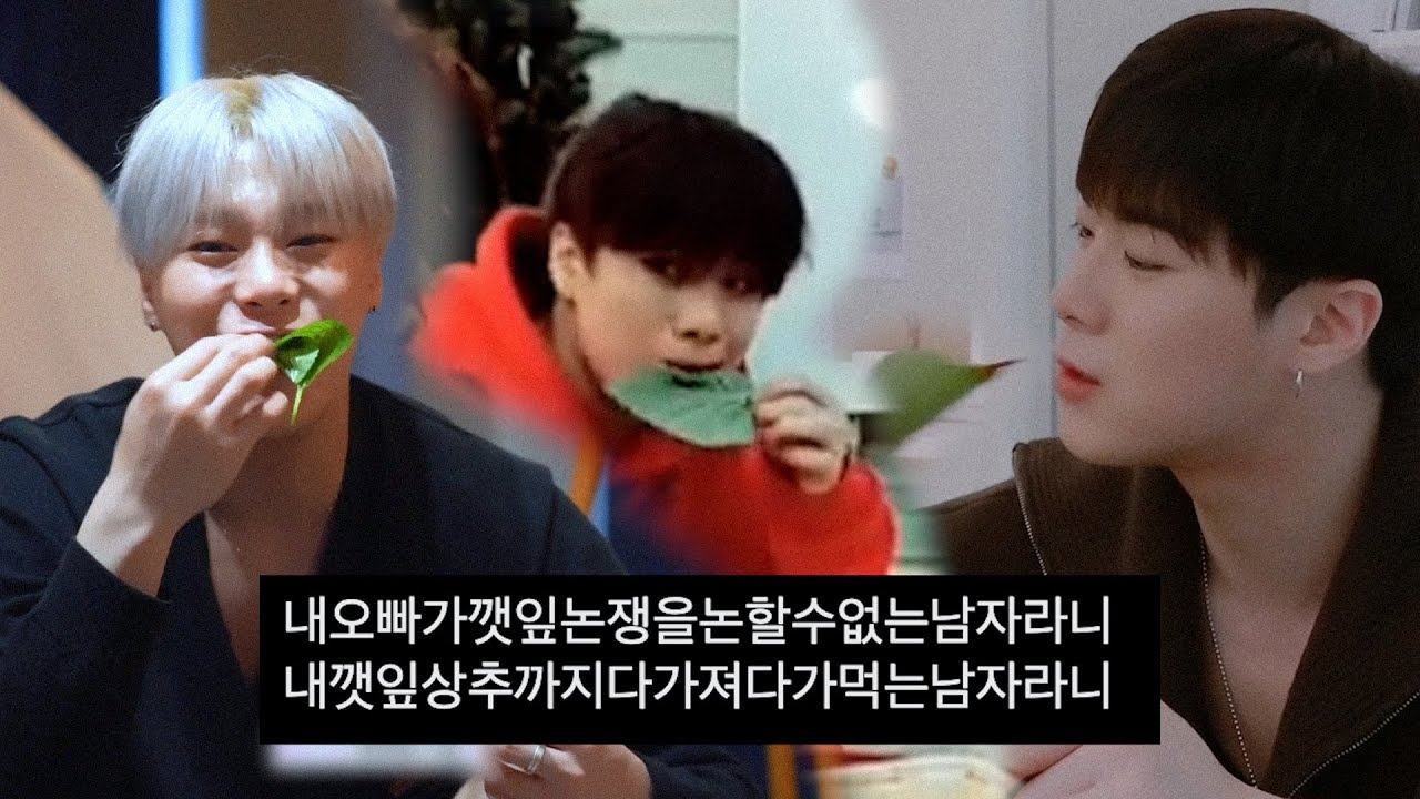 내 오빠가 깻잎논쟁을 할 수 없는 남자라니.. / 아스트로 문빈 (feat. 차은우)