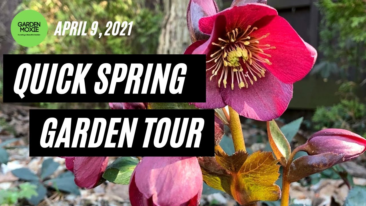 Spring Garden Tour