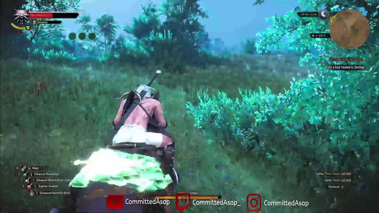 Lets Play The Witcher 3 Wild Hunt PT 11
