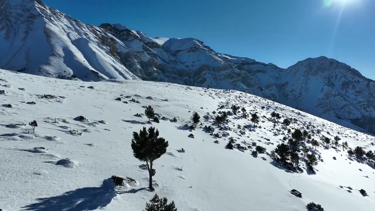 winter