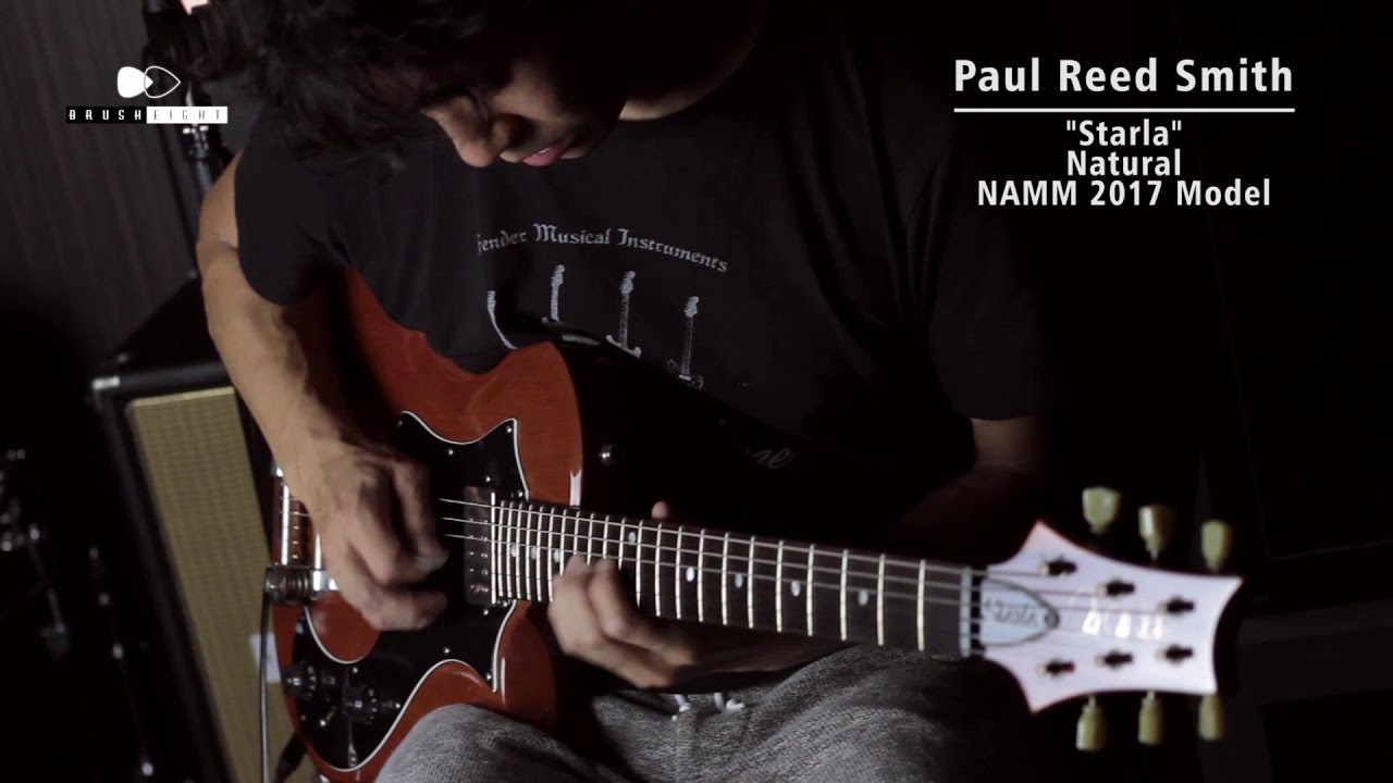 【Brush eight】Paul Reed Smith PRS 