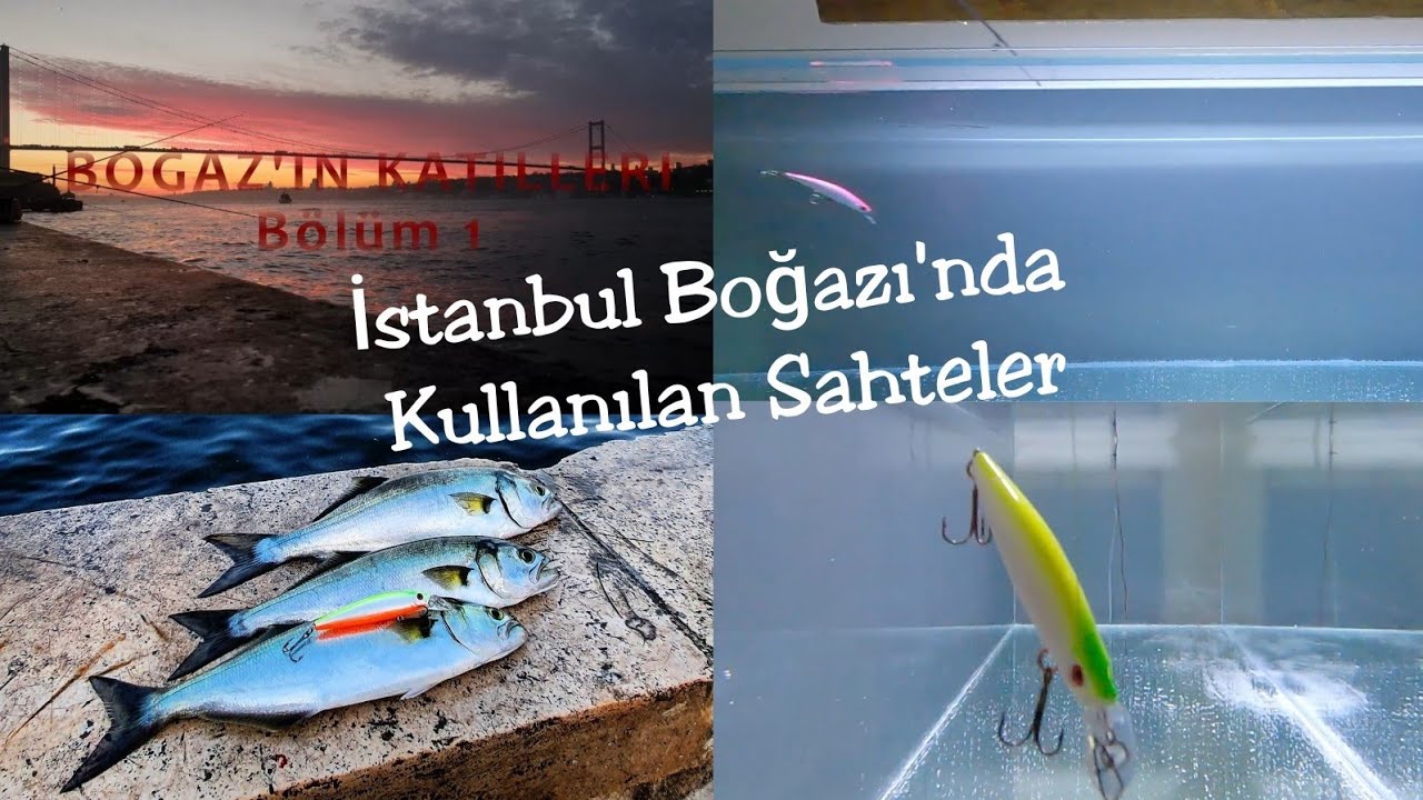 BOĞAZ'IN KATİLLERİ (Bölüm 1) - İstanbul Boğazı'nda Etkili Olan Sahteleri Akvaryumda Test Ettim