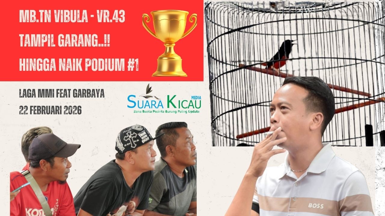 MB.TN VIBULA - VR43 TAMPIL GARANG..!! HINGGA NAIK PODIUM #1 LAGA MMI FEAT GARBAYA
