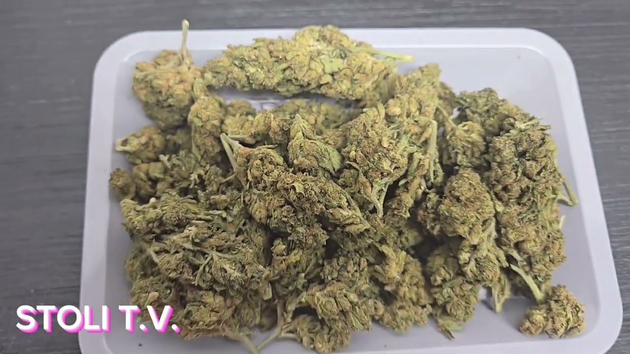 THCA REVIEW OF THE [GARY PAYTON] and 1 OZ CANNAGAR