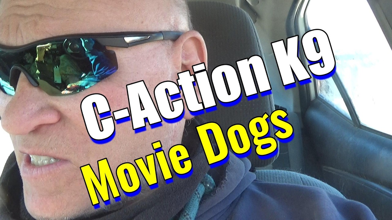 One Take. That's a Wrap. | C-Action K9 Movie Dogs Highlight Reel
