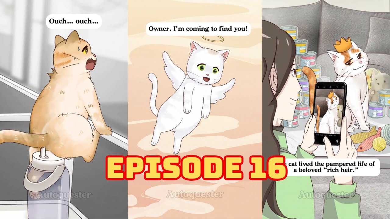 Cartoon and Real Life  Episode 16: First Day at Work and the Shock Called… A Mischievous Cat!