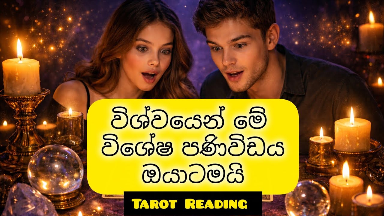 විශ්වයෙන් ඔයාට විශේෂ පණිවිඩයක් 🔮✨ | Tarot Card Reading Sinhala 