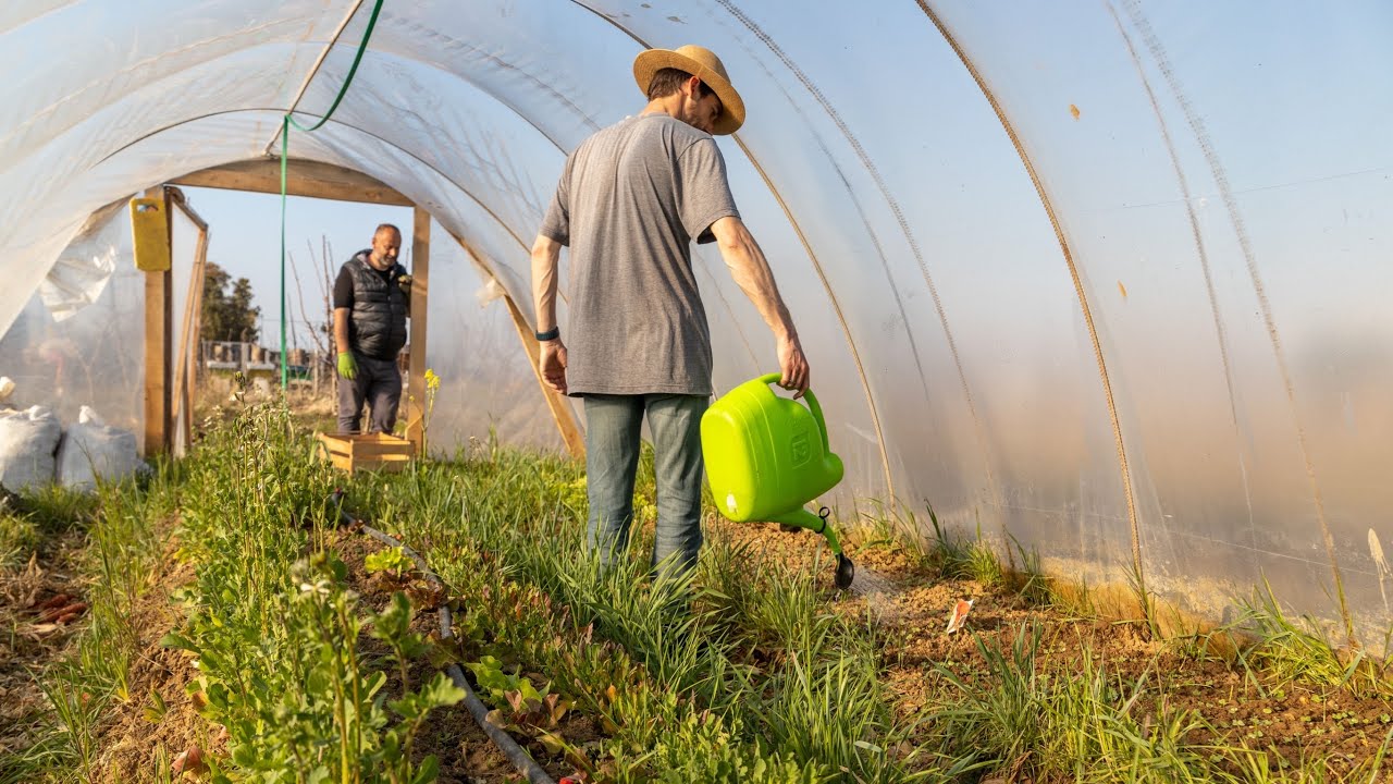 Permaculture Farming in Albania 🇦🇱 {Documentary}