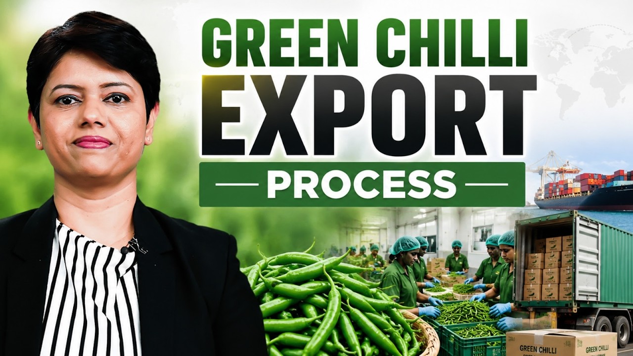 How to Start Export with Chili | Understand Practically | KDSushma