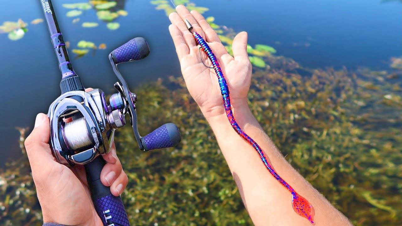 World's LARGEST Fishing WORM! (Actually Works!)