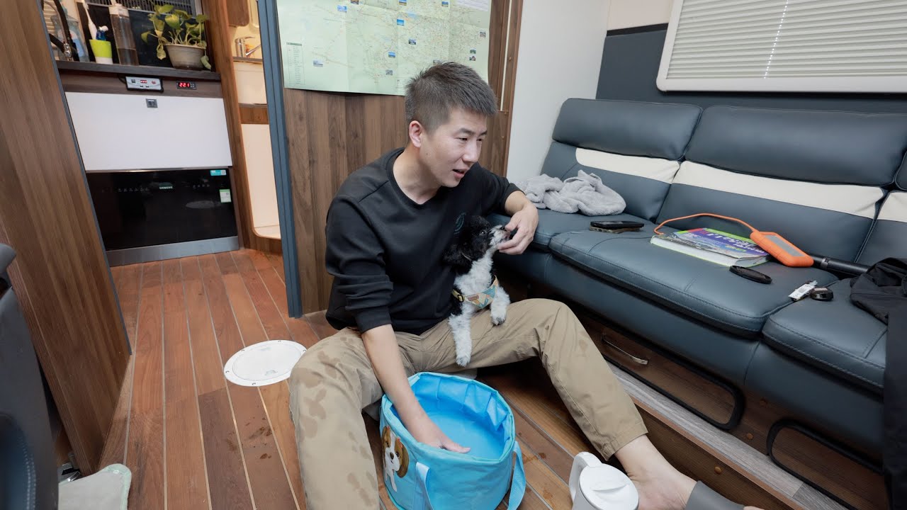 一人一狗带伤自驾，返程路上意外不断，还好彼此相互陪伴