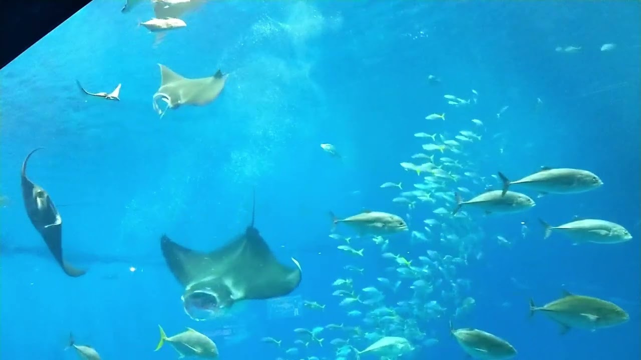 2020-10-10～12 沖縄旅