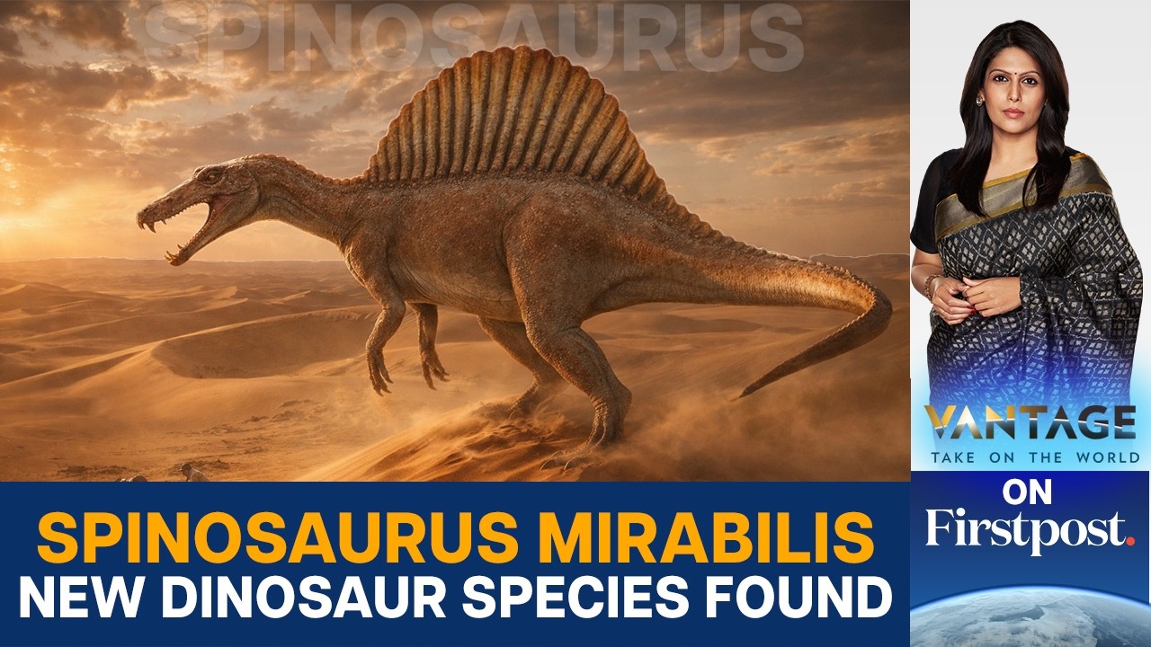 Scientists Discover New Dinosaur Species in Africa's Sahara Desert | Vantage With Palki Sharma