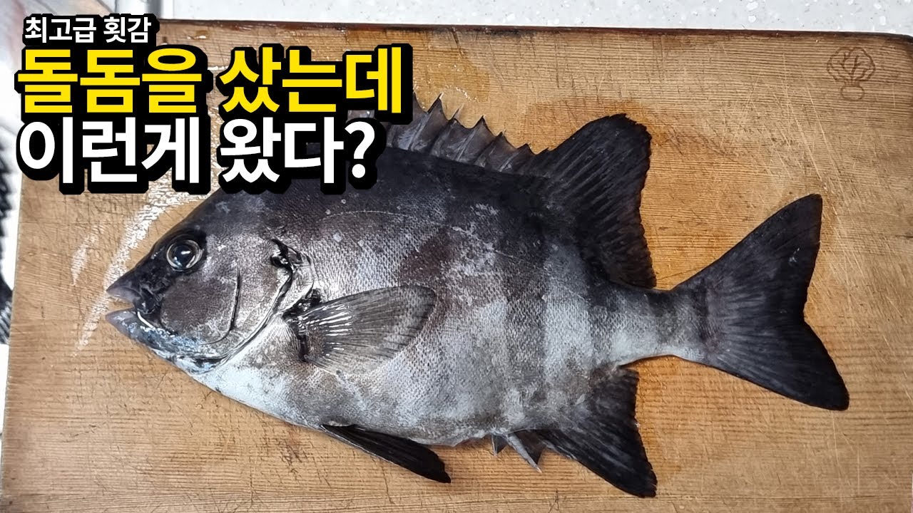 [약혐주의] 이런 수산물 먹어도 되나요?(입문철TV  EP. 012)