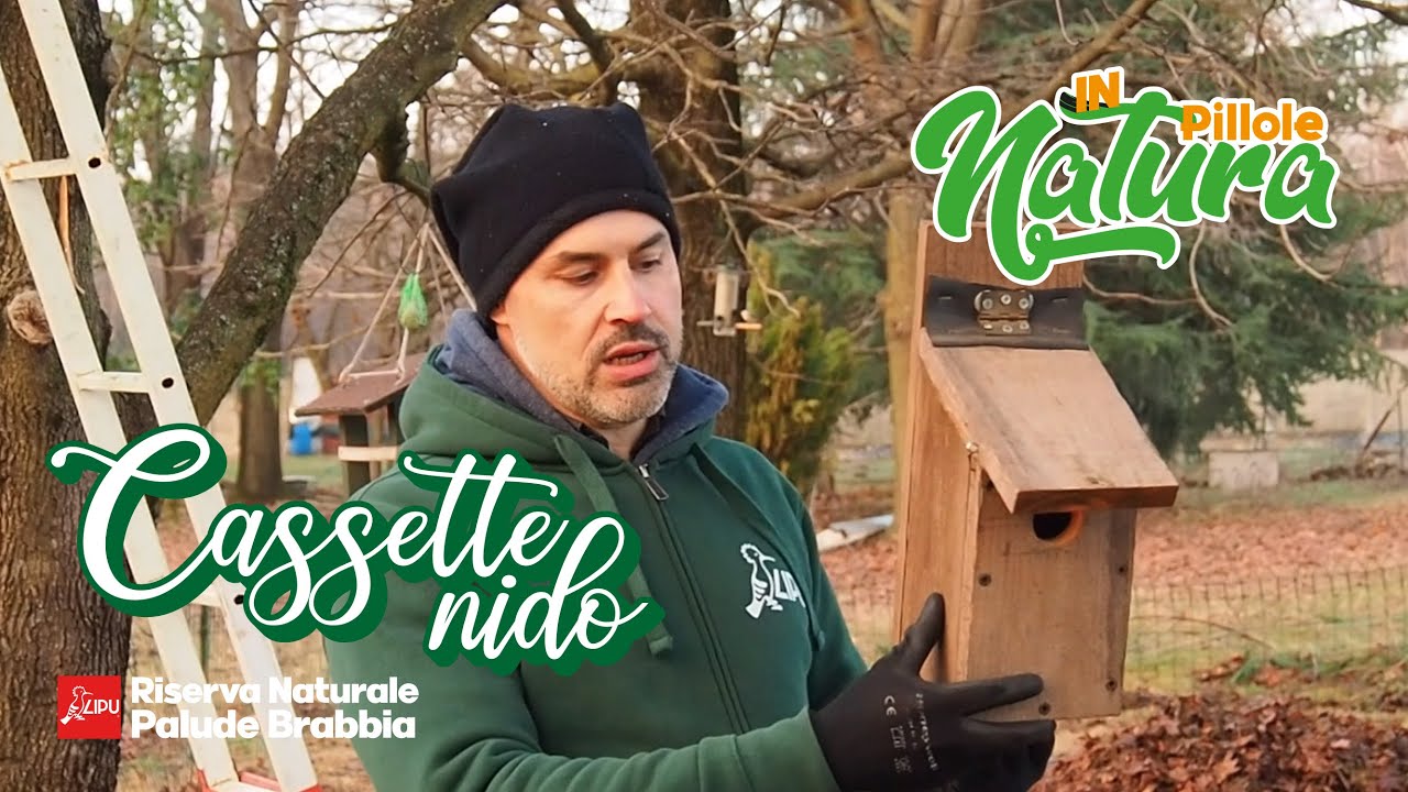 Pillole in Natura_Ep1: Cassette nido