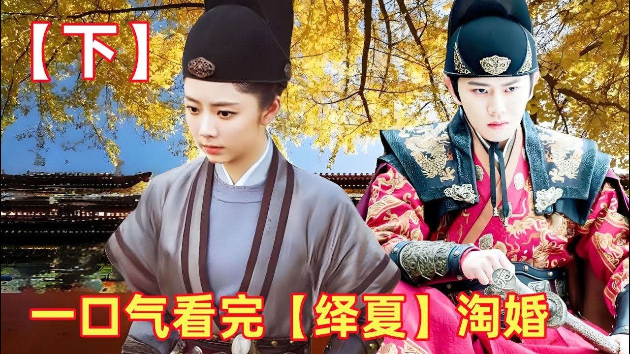一口气看完《锦衣之下》【绎夏】淘婚【下】