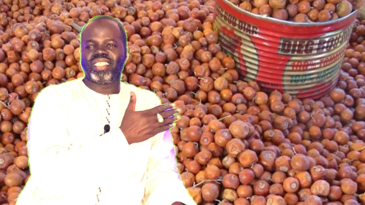 Le Jujube ( Sidém ou Ziziphus ) Pr Ousmane Ndiaye - SAMA XALAAT TV