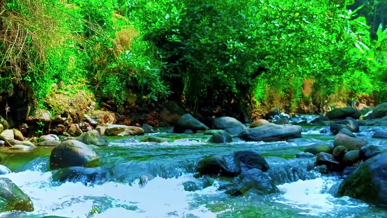 Relaxing River Sounds for Deep Sleep and Stress Relief | Peaceful Nature White Noise Ambience