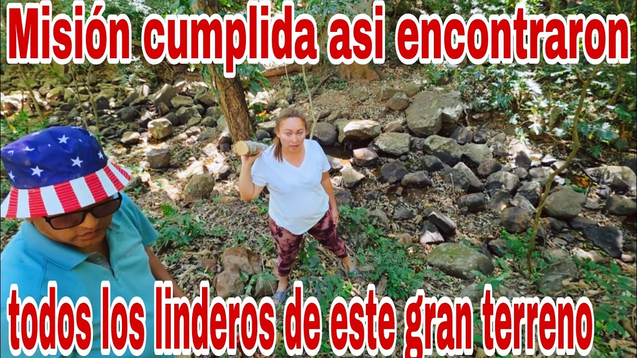 Estas son las medidas de las parcelas que se han reforzado😳😱