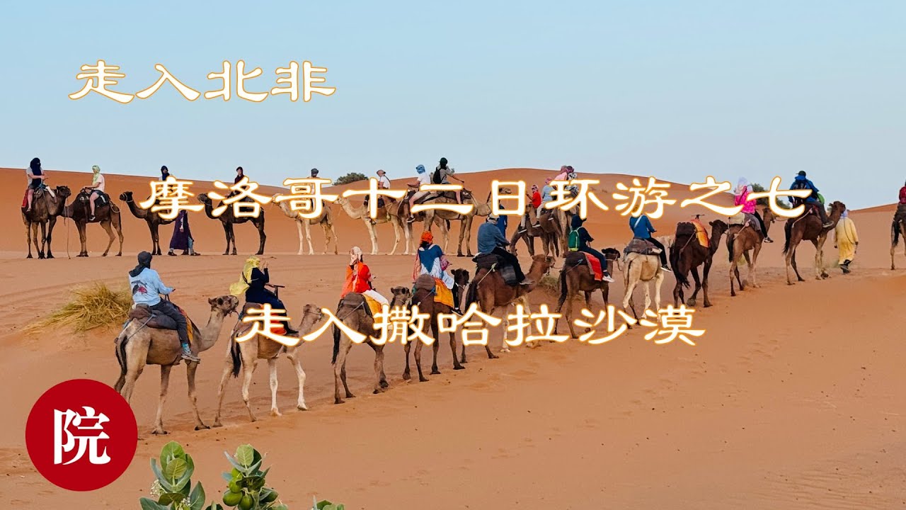【彬彬有院】行 •1208 走入北非走入摩洛哥之七，撒哈拉的记忆；撒哈拉沙漠的面积大约有920～940万平方公里，由于昼夜温差巨大，塑造了光影变幻的金色沙海，美丽且震撼！这里不光有大漠，还有沙漠绿洲！