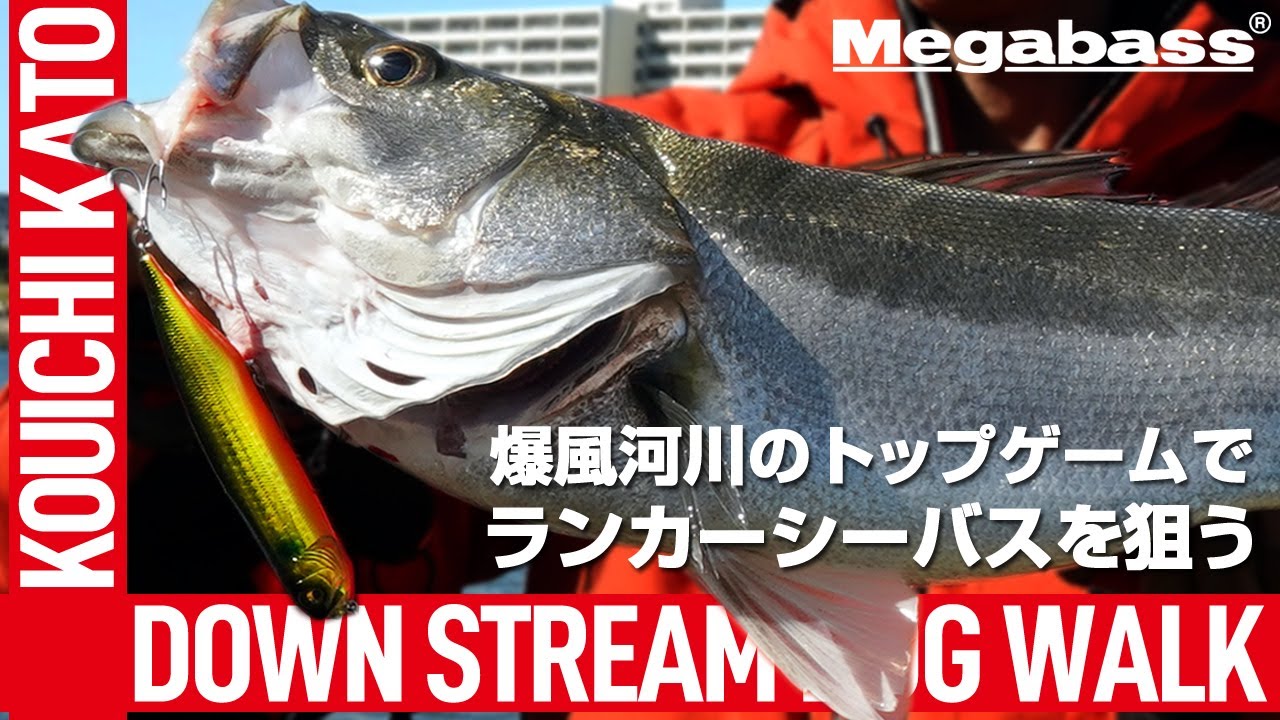 【水面炸裂】デイの東京湾奥河川のトップゲームでシーバスを狙う / DOG-X DIAMANTE SW - DOWN STREAM DOG WALK 【MEGABASS】