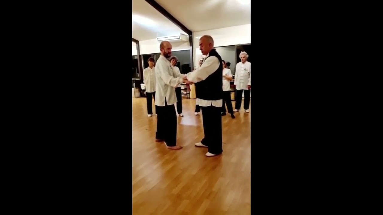 Tui shou Peng détails par Thierry Alibert 7ème Duan FFK