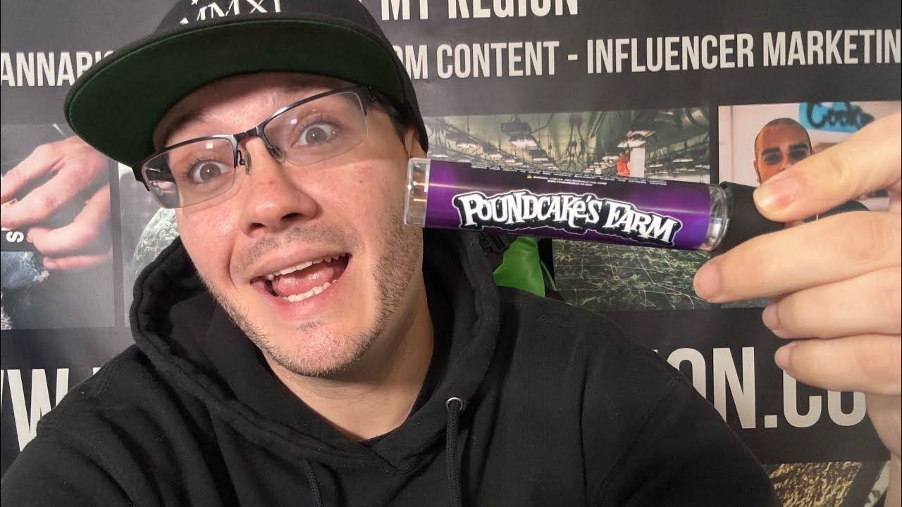 Poundcake&rsquo;s Farm Lemon Cherry Gelato Strain Review