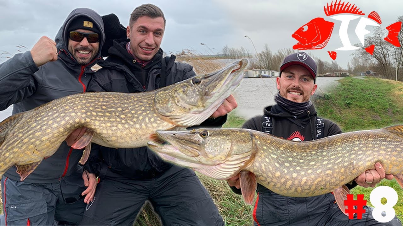 Angeln in Holland die Ü100 Hechtparty am Polder mit ENRICO DI VENTURA Teil 2/2 #8 - INSIDER FISHING