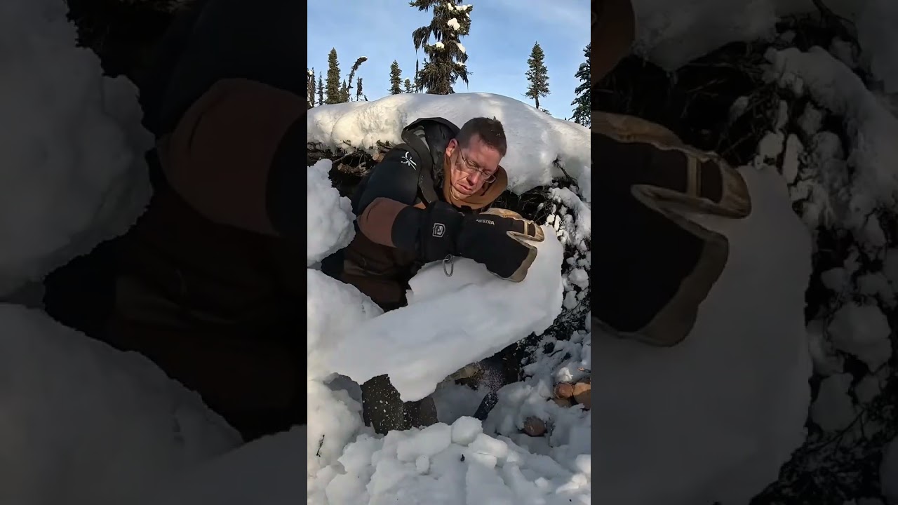 Alaskan Shelter Survival: Snow, Ice, and Wet Firewood Woes!