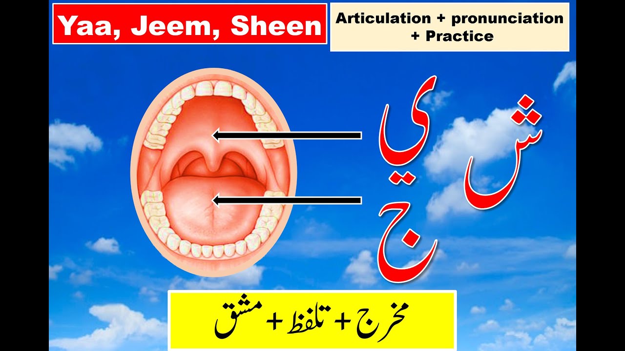 Makhraj of letter Jeem ( ج ) | Makhraj of Sheen ( ش ) | Makhraj of Yaa ( ي ) | Quran  with Tajweed