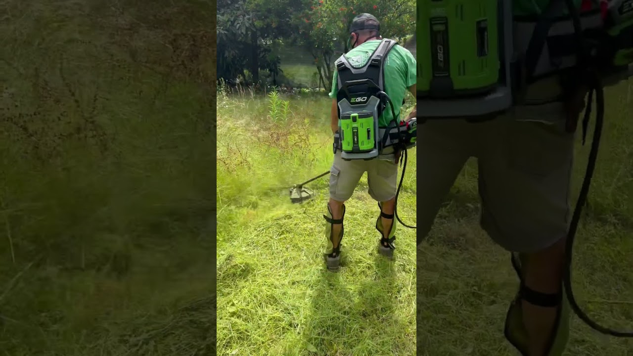 Decespugliatore PH1420E a batteria #egopowerplus con testina PowerLoad #shorts #giardinaggio #farm