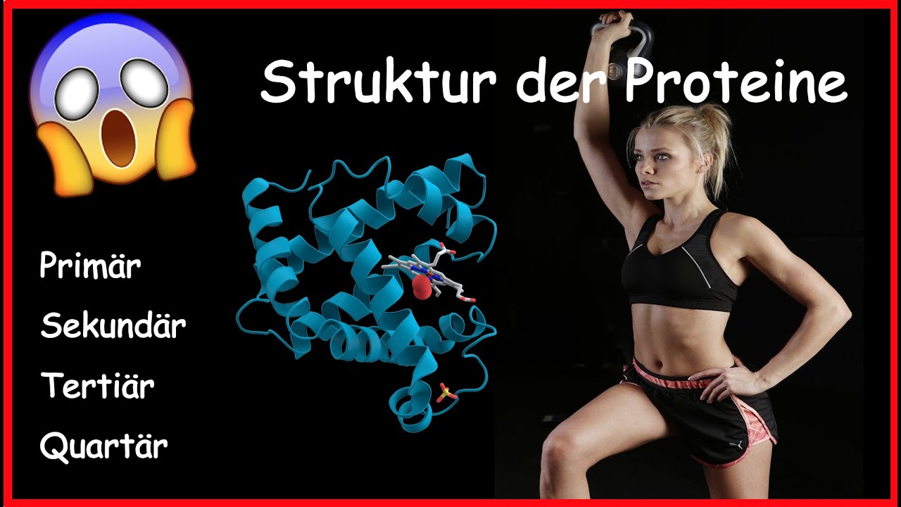 Proteine - Aufbau und Struktur einfach erkl&auml;rt (Prim&auml;r-, Sekund&auml;r-, Terti&auml;r-, Quart&auml;rstruktur)