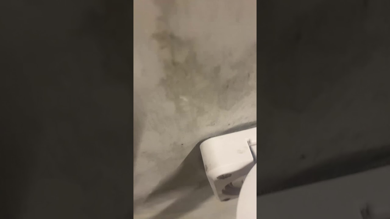 Typ 2 16A Mode 2 Schnell EV Ladekabel f&uuml;r Elektrisches Auto Ladestecker Schuko hat keine Funktion