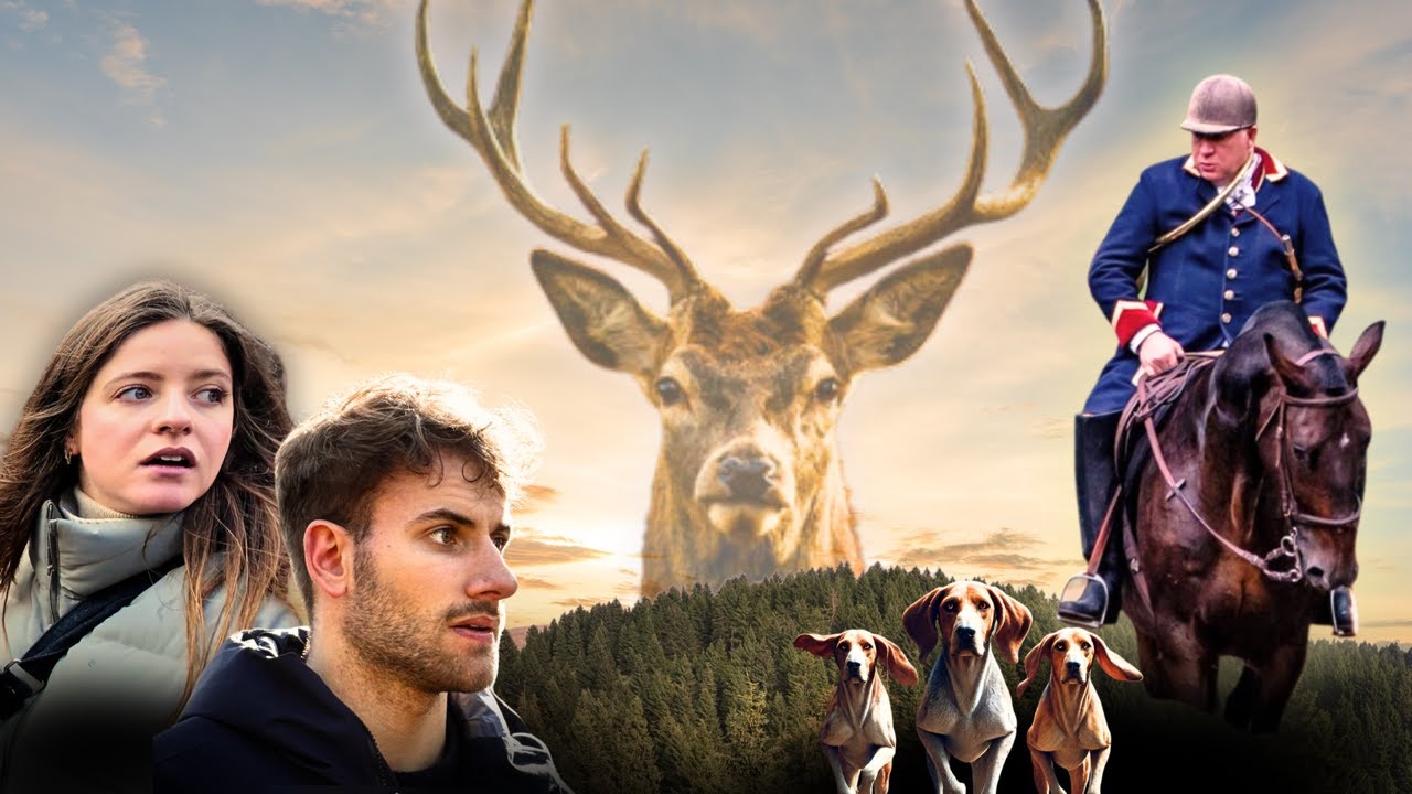 On découvre la réalité de la chasse à courre
