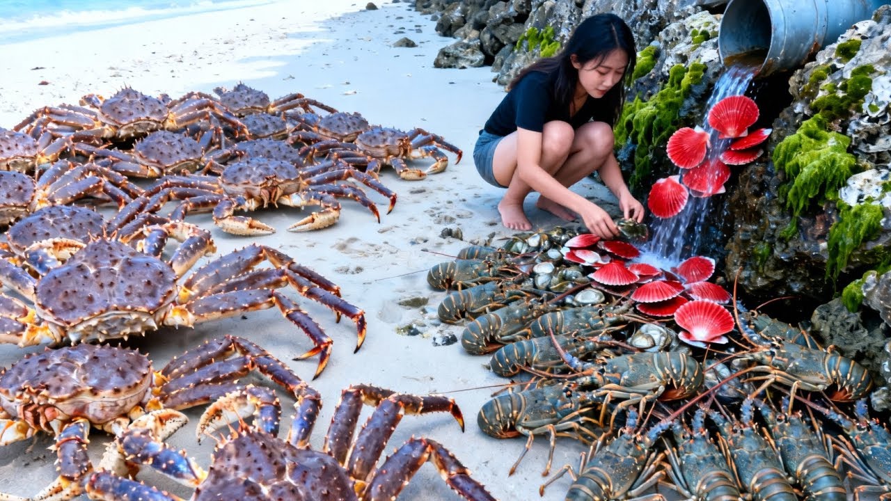 小章赶海惊人运气，龙虾、大鱼爆桶，竟还有罕见帝王蟹【赶海小章官方频道】