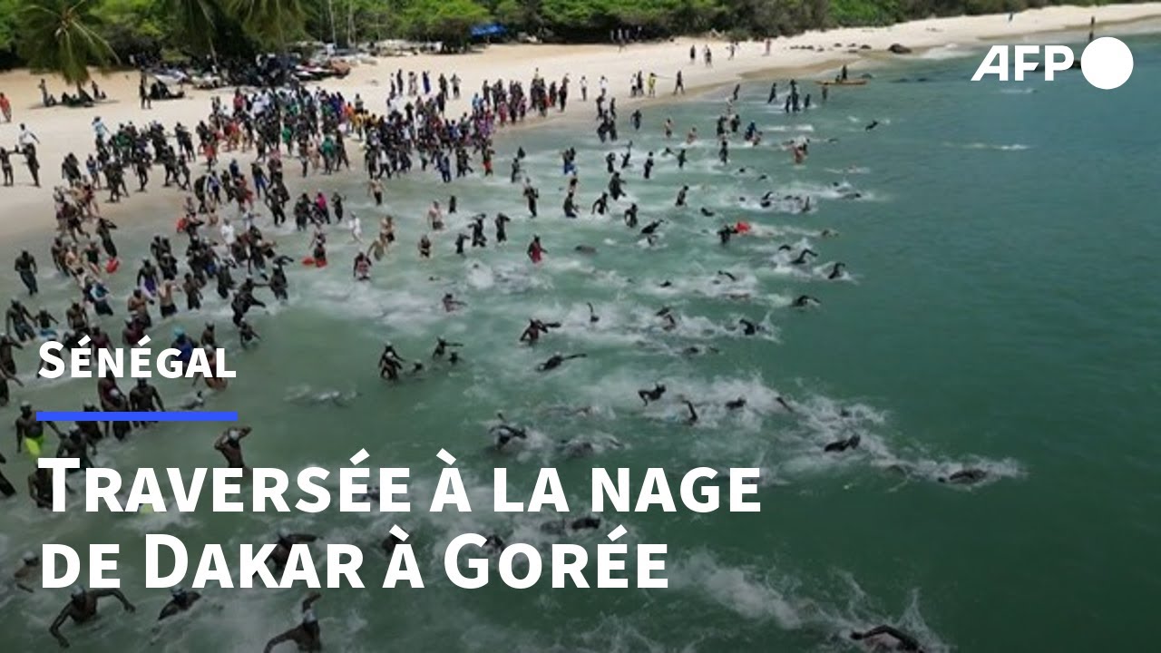 Sénégal: la traversée Dakar-Gorée réunit plus de 500 nageurs | AFP