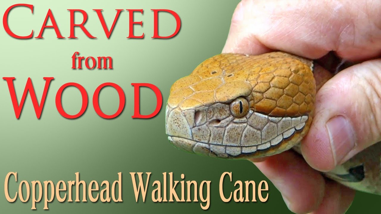 Carving a Wooden Copperhead Walking Cane