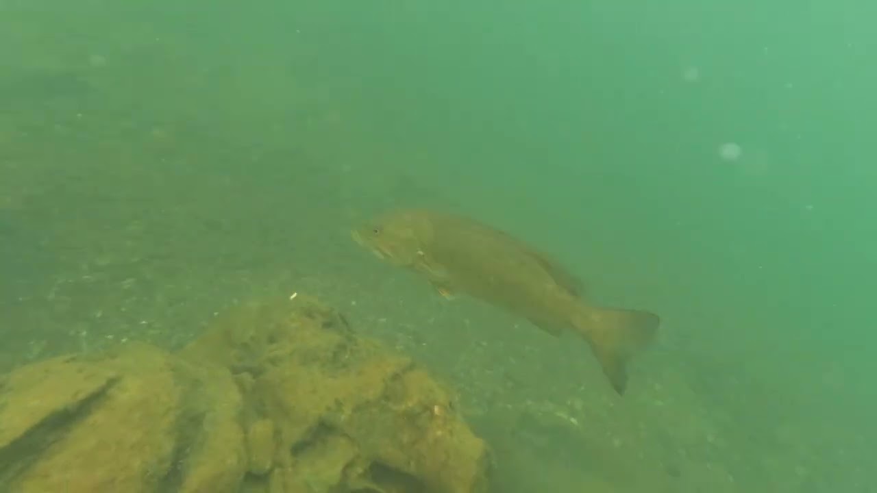 A few Bass friends, and a wee river tour. 