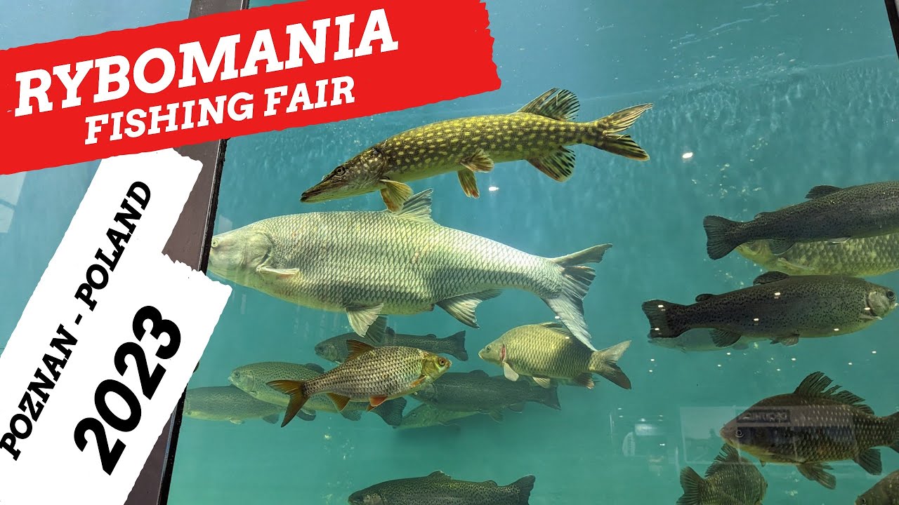 Rybomania 2023 - Fishing Fair | VLOG 110