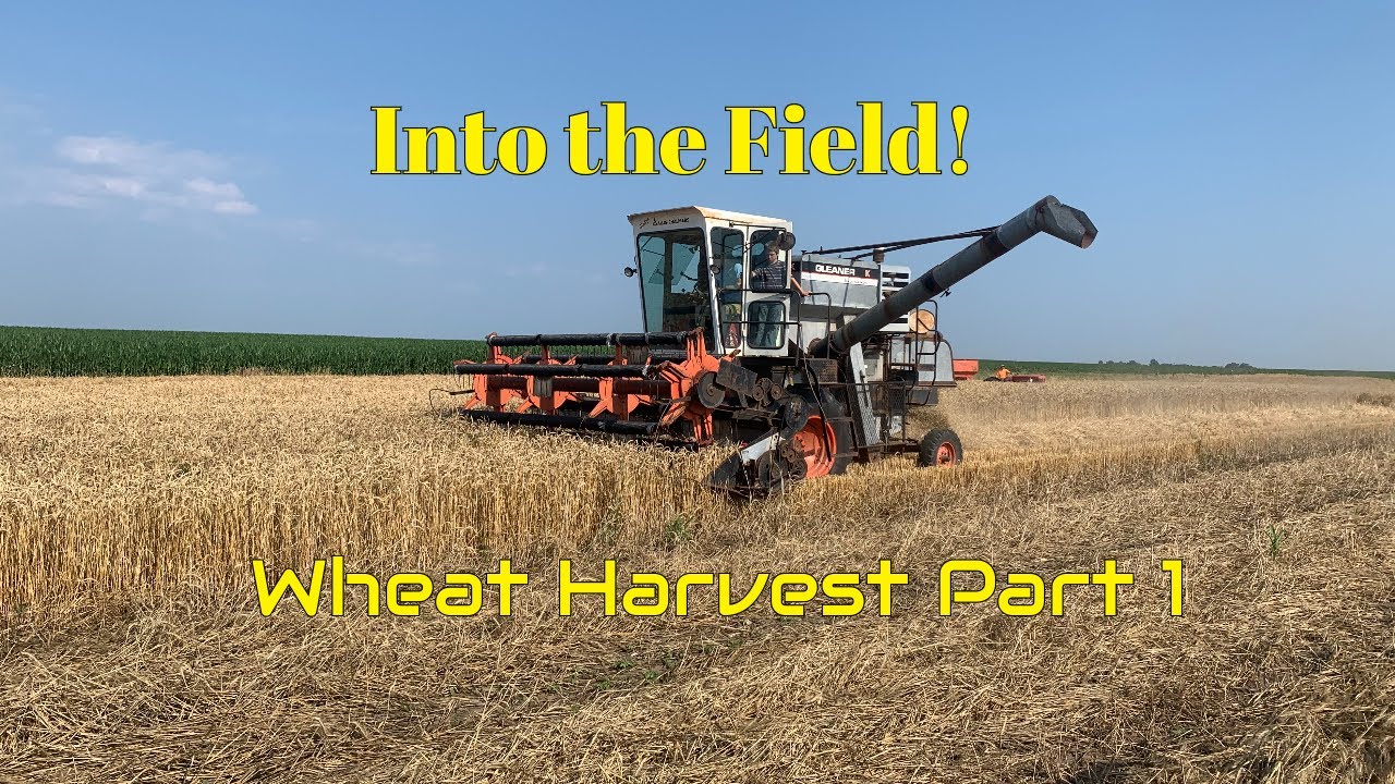 Into the field with the GLEANER K! (Wheat Harvest Part 1)
