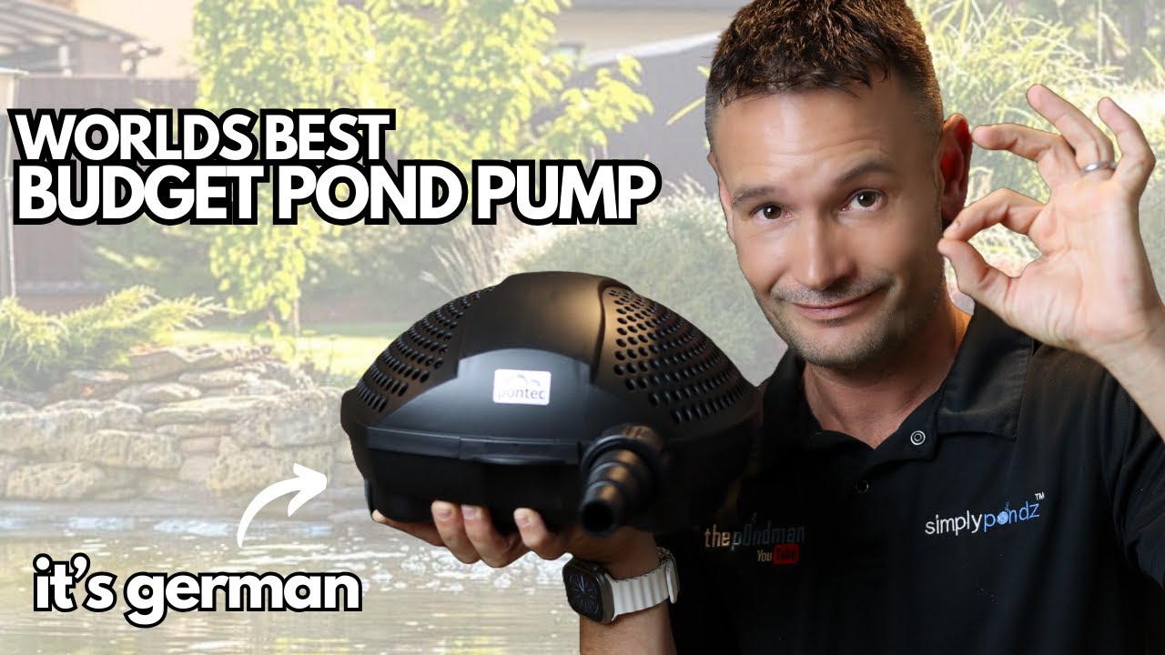 The World's Best Budget Pond Pump